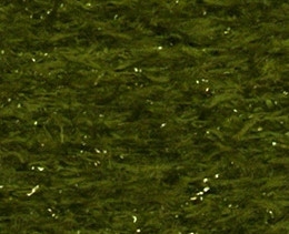 FZ32 - Leaf Green