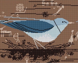 Moutain Blue Bird