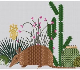 Armadillo & Cactus