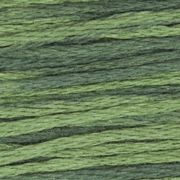 2159 - Seaweed