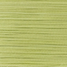 N37 - Celery